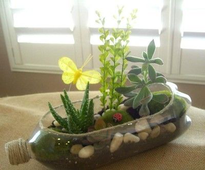 Mini Garden in Plasic Bottles